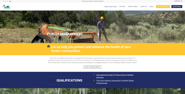 Aspen-tree-commercial-services