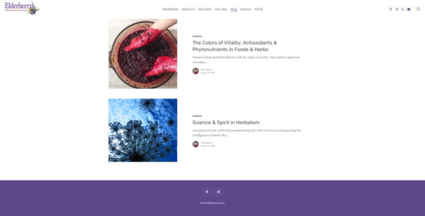 Elderberry-blog