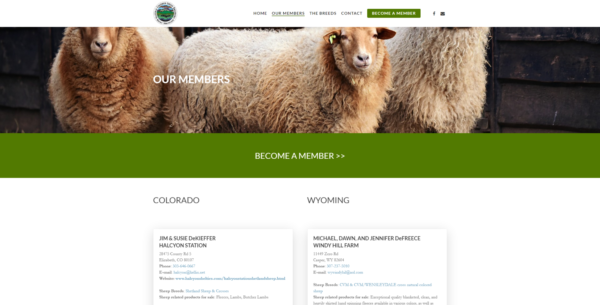 Sheep-members